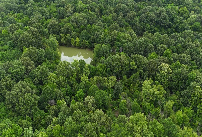 0 ROCKY POINT RD, Cordova, Tennessee 38018, ,Land,For Sale,ROCKY POINT,10222728