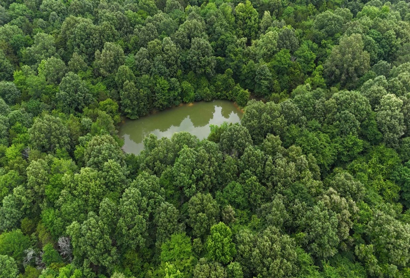 0 ROCKY POINT RD, Cordova, Tennessee 38018, ,Land,For Sale,ROCKY POINT,10222728