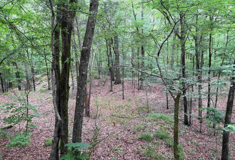 0 ROCKY POINT RD, Cordova, Tennessee 38018, ,Land,For Sale,ROCKY POINT,10222728