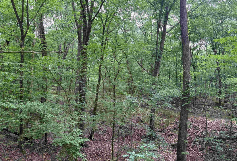 0 ROCKY POINT RD, Cordova, Tennessee 38018, ,Land,For Sale,ROCKY POINT,10222728
