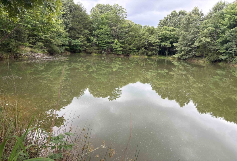 0 ROCKY POINT RD, Cordova, Tennessee 38018, ,Land,For Sale,ROCKY POINT,10222728