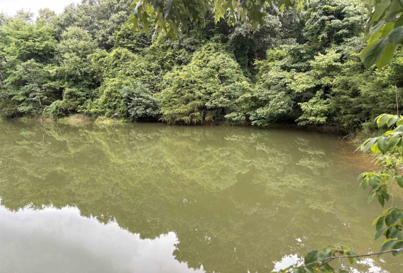 0 ROCKY POINT RD, Cordova, Tennessee 38018, ,Land,For Sale,ROCKY POINT,10222728