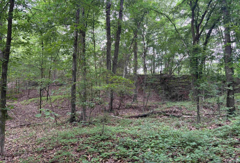 0 ROCKY POINT RD, Cordova, Tennessee 38018, ,Land,For Sale,ROCKY POINT,10222728