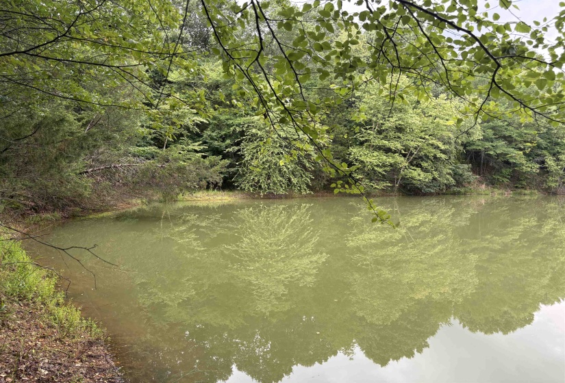 0 ROCKY POINT RD, Cordova, Tennessee 38018, ,Land,For Sale,ROCKY POINT,10222728