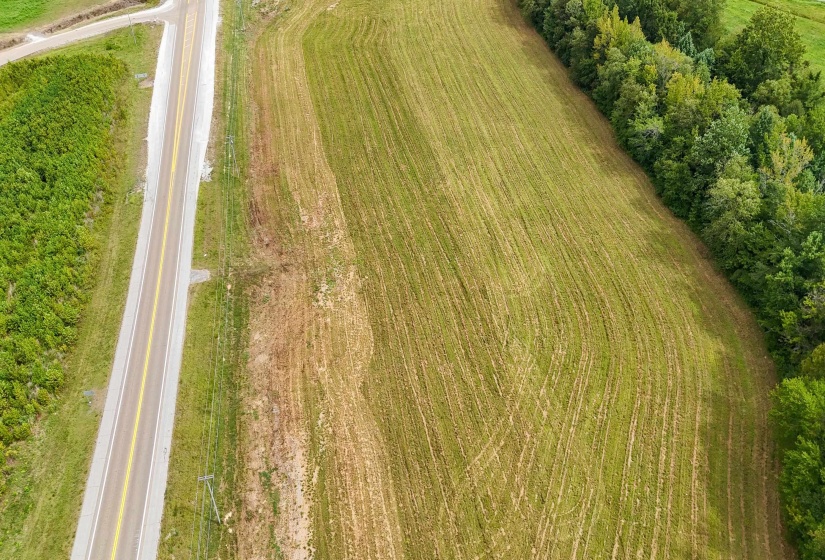 641 HWY, Holladay, Tennessee 38341, ,Land,For Sale,641,10222732