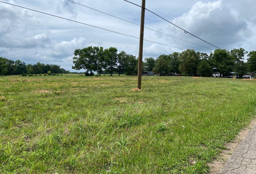 OLD MORRIS CHAPEL RD, Adamsville, Tennessee 38310, ,Land,For Sale,OLD MORRIS CHAPEL,10222736