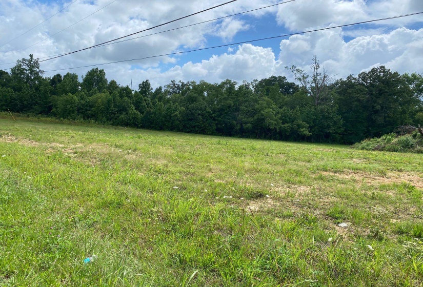 OLD MORRIS CHAPEL RD, Adamsville, Tennessee 38310, ,Land,For Sale,OLD MORRIS CHAPEL,10222736