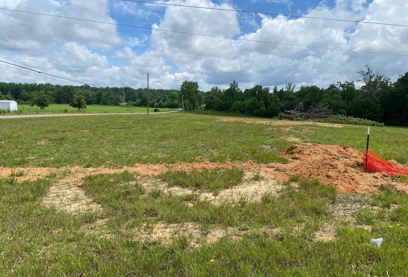 OLD MORRIS CHAPEL RD, Adamsville, Tennessee 38310, ,Land,For Sale,OLD MORRIS CHAPEL,10222736