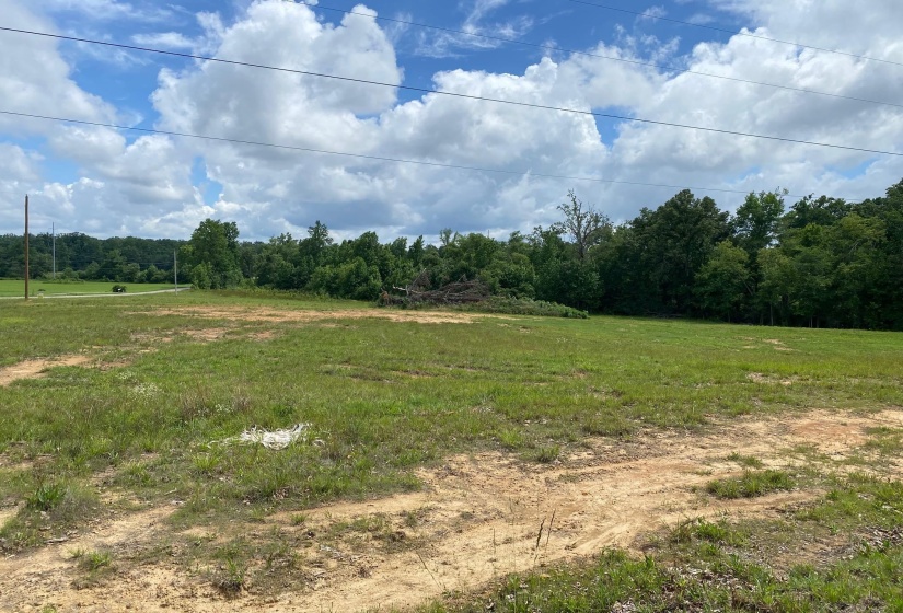 OLD MORRIS CHAPEL RD, Adamsville, Tennessee 38310, ,Land,For Sale,OLD MORRIS CHAPEL,10222736