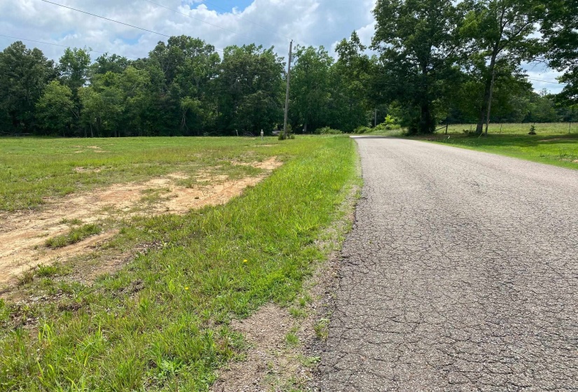 OLD MORRIS CHAPEL RD, Adamsville, Tennessee 38310, ,Land,For Sale,OLD MORRIS CHAPEL,10222736