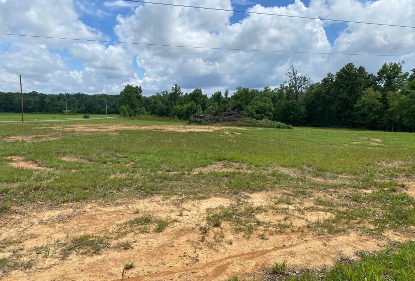 OLD MORRIS CHAPEL RD, Adamsville, Tennessee 38310, ,Land,For Sale,OLD MORRIS CHAPEL,10222736