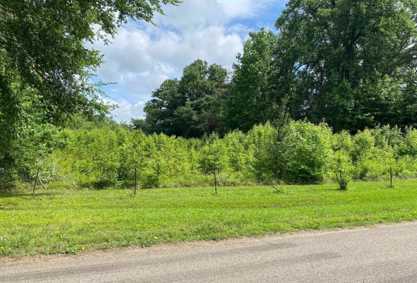 OLD MORRIS CHAPEL RD, Adamsville, Tennessee 38310, ,Land,For Sale,OLD MORRIS CHAPEL,10222736