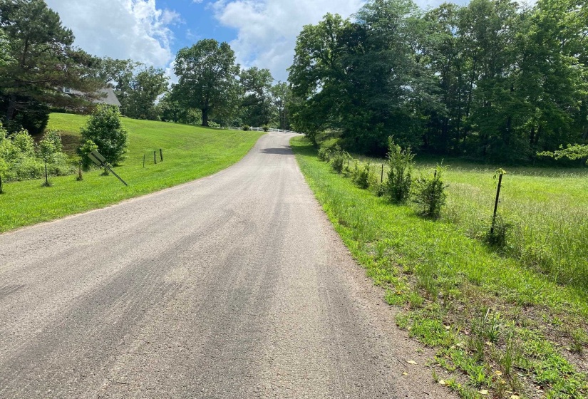 OLD MORRIS CHAPEL RD, Adamsville, Tennessee 38310, ,Land,For Sale,OLD MORRIS CHAPEL,10222736