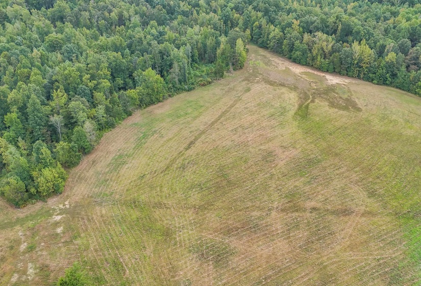 641 HWY, Holladay, Tennessee 38341, 0 , 0 ,0,Land,For Sale,641,0,10222749