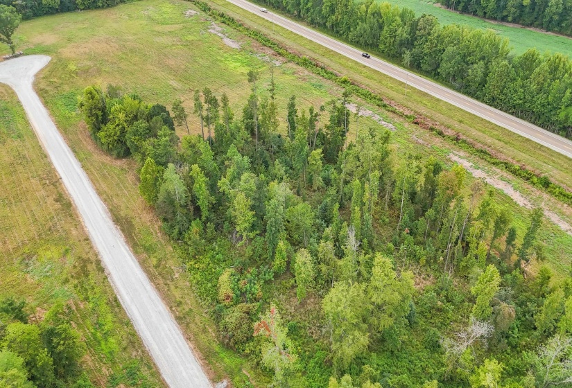 641 HWY, Holladay, Tennessee 38341, 0 , 0 ,0,Land,For Sale,641,0,10222749