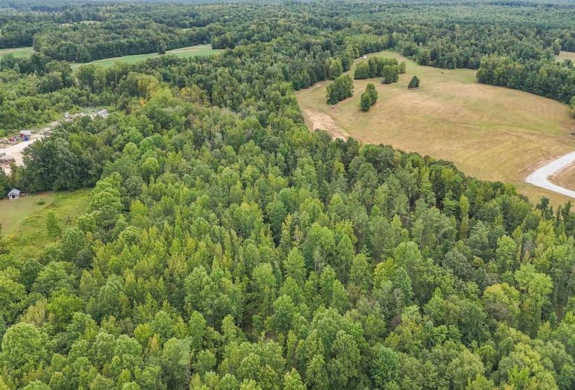 641 HWY, Holladay, Tennessee 38341, 0 , 0 ,0,Land,For Sale,641,0,10222749