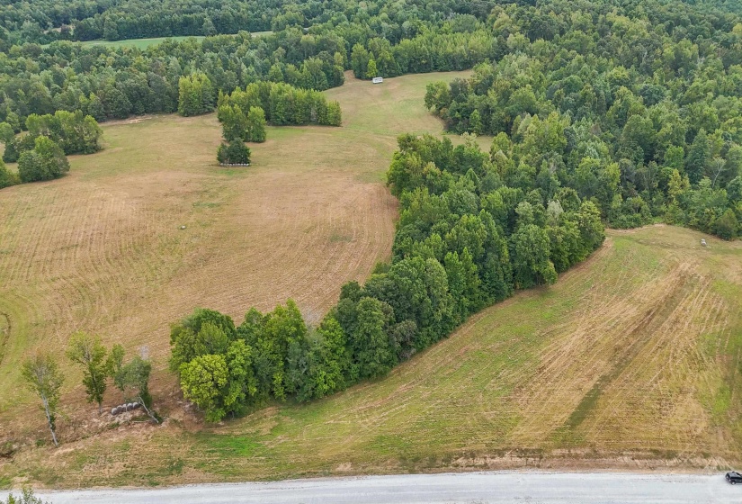 641 HWY, Holladay, Tennessee 38341, 0 , 0 ,0,Land,For Sale,641,0,10222749