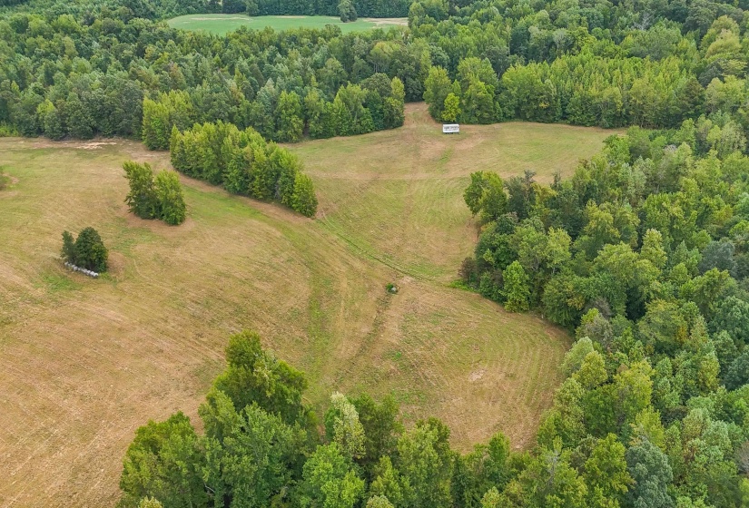 641 HWY, Holladay, Tennessee 38341, 0 , 0 ,0,Land,For Sale,641,0,10222749