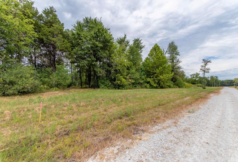 641 HWY, Holladay, Tennessee 38341, 0 , 0 ,0,Land,For Sale,641,0,10222749