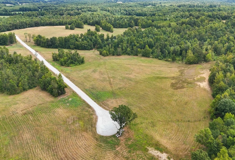 641 HWY, Holladay, Tennessee 38341, 0 , 0 ,0,Land,For Sale,641,0,10222749