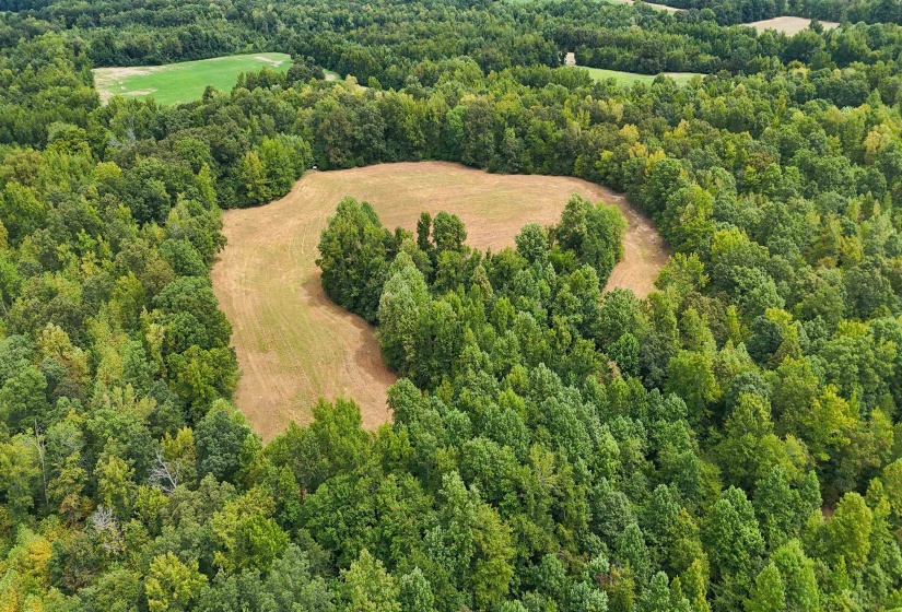 641 HWY, Holladay, Tennessee 38341, 0 , 0 ,0,Land,For Sale,641,0,10222749
