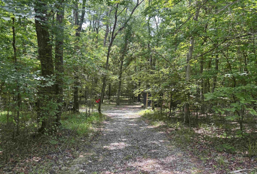 19.5 ACRES MCMAHAN RD, Middleton, Tennessee 38052, ,Land,For Sale,MCMAHAN,10222766