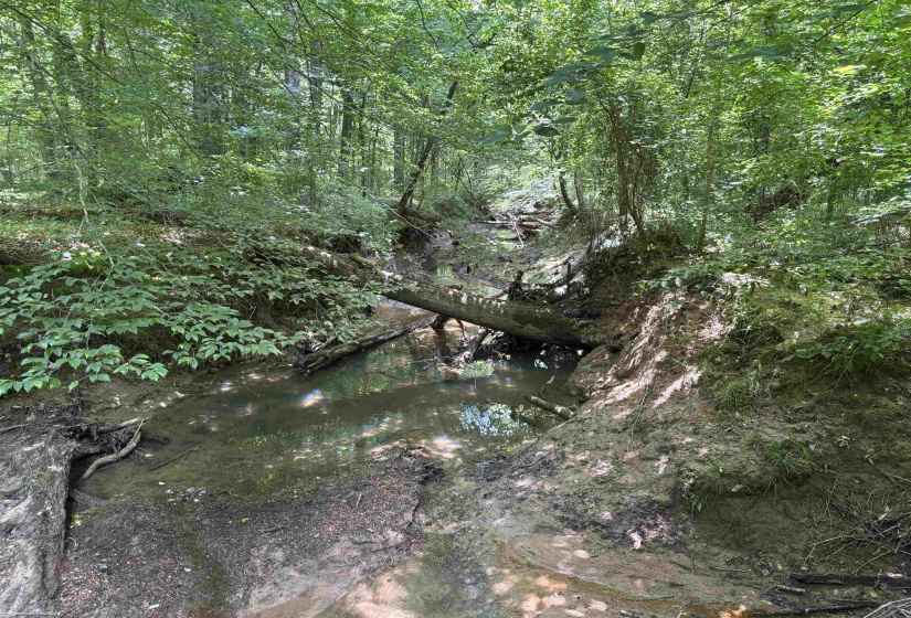 19.5 ACRES MCMAHAN RD, Middleton, Tennessee 38052, ,Land,For Sale,MCMAHAN,10222766