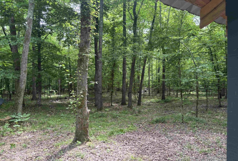 19.5 ACRES MCMAHAN RD, Middleton, Tennessee 38052, ,Land,For Sale,MCMAHAN,10222766