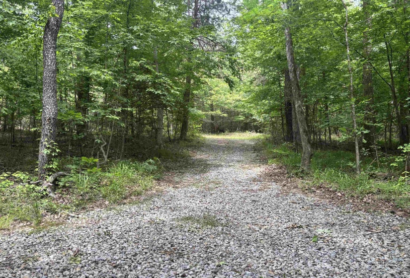 19.5 ACRES MCMAHAN RD, Middleton, Tennessee 38052, ,Land,For Sale,MCMAHAN,10222766