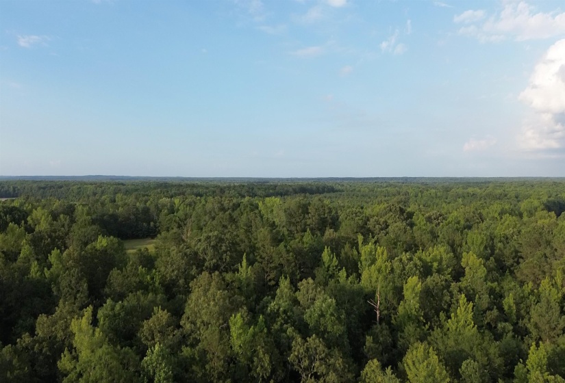 19.5 ACRES MCMAHAN RD, Middleton, Tennessee 38052, ,Land,For Sale,MCMAHAN,10222766