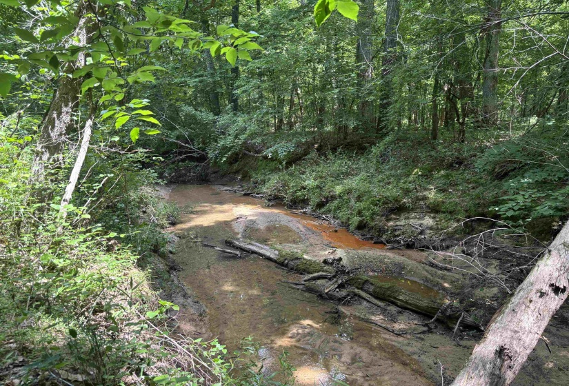 19.5 ACRES MCMAHAN RD, Middleton, Tennessee 38052, ,Land,For Sale,MCMAHAN,10222766