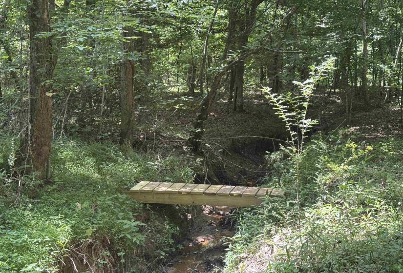 19.5 ACRES MCMAHAN RD, Middleton, Tennessee 38052, ,Land,For Sale,MCMAHAN,10222766