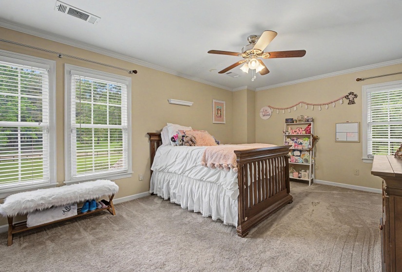 Carpeted room featuring two large windows with blinds, a ceiling fan with integrated lighting, and crown molding