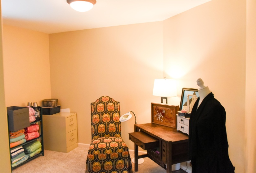 Light-colored wall finishes, recessed ceiling light fixture, and carpet flooring define this interior space