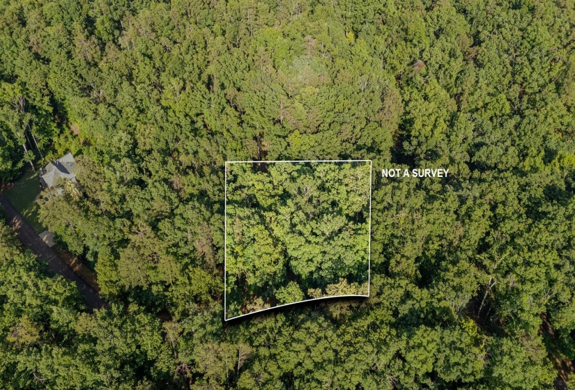 LOT 275 ANDERSON HOLLOW RD, Savannah, Tennessee 38372, ,Land,For Sale,ANDERSON HOLLOW,10222834