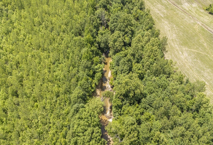 904 CAPOOTH RD, Ramer, Tennessee 38367, ,Land,For Sale,CAPOOTH,10222861