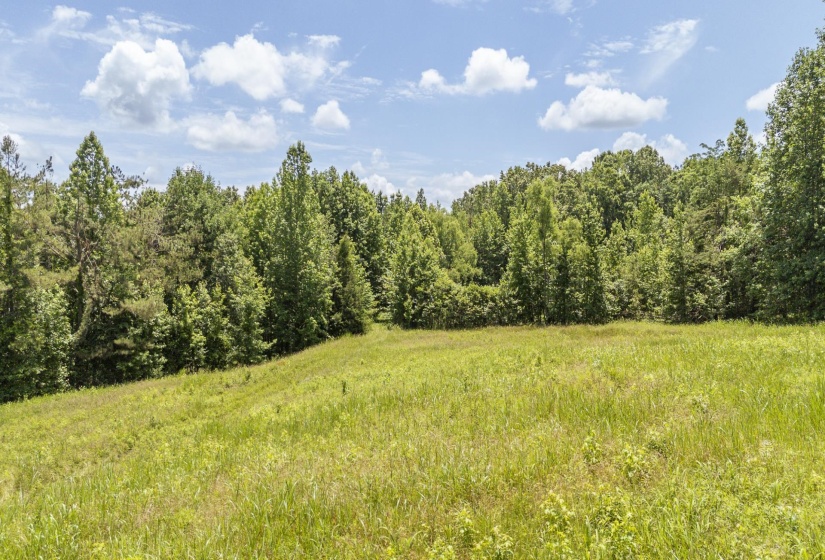 904 CAPOOTH RD, Ramer, Tennessee 38367, ,Land,For Sale,CAPOOTH,10222861