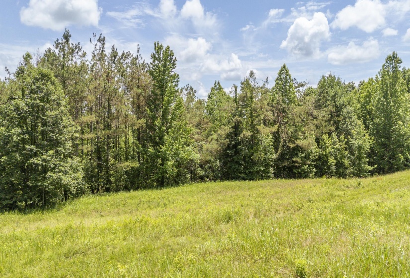 904 CAPOOTH RD, Ramer, Tennessee 38367, ,Land,For Sale,CAPOOTH,10222861