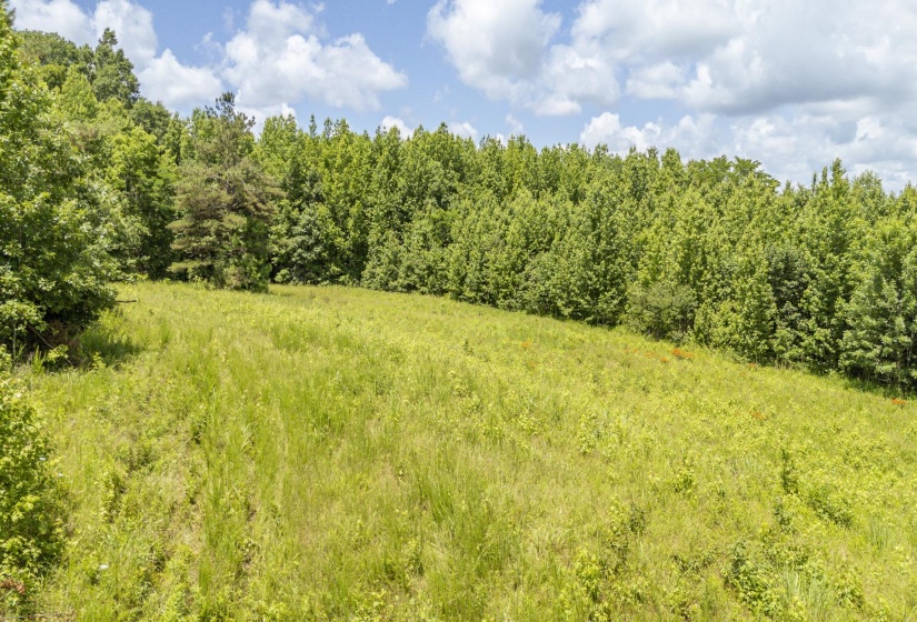 904 CAPOOTH RD, Ramer, Tennessee 38367, ,Land,For Sale,CAPOOTH,10222861