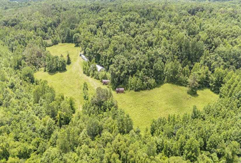 904 CAPOOTH RD, Ramer, Tennessee 38367, ,Land,For Sale,CAPOOTH,10222861