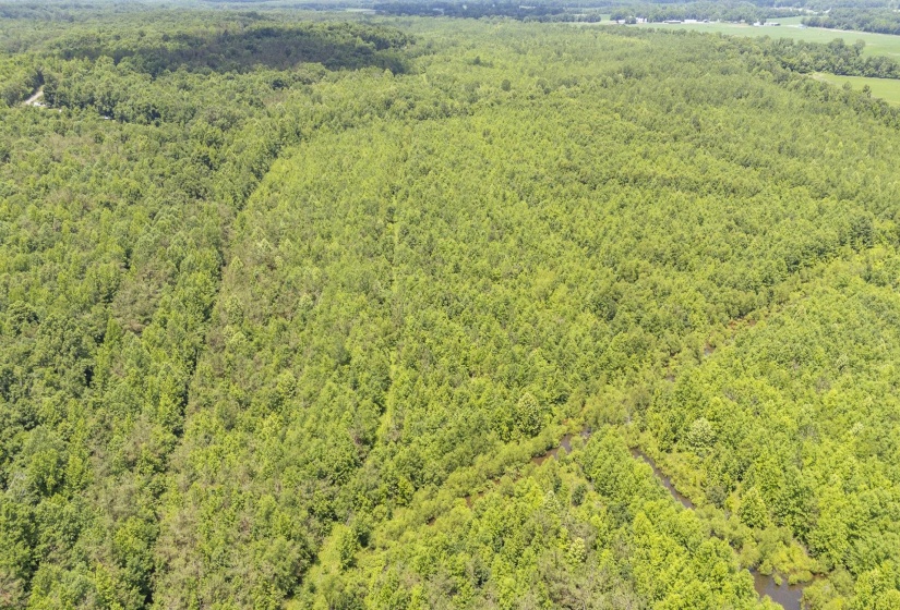 904 CAPOOTH RD, Ramer, Tennessee 38367, ,Land,For Sale,CAPOOTH,10222861