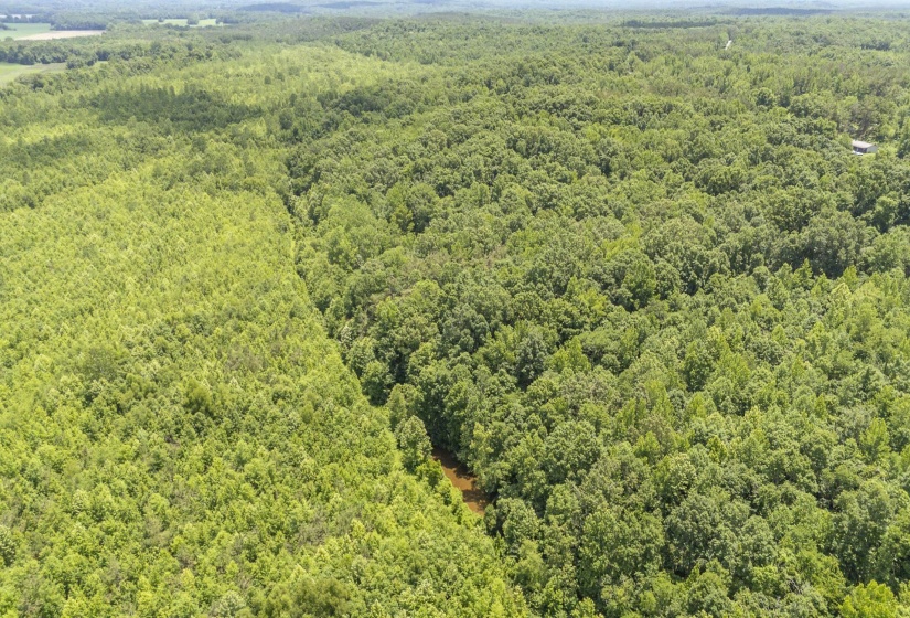 904 CAPOOTH RD, Ramer, Tennessee 38367, ,Land,For Sale,CAPOOTH,10222861