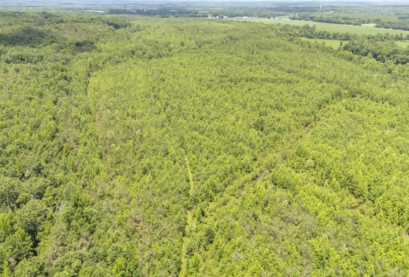 904 CAPOOTH RD, Ramer, Tennessee 38367, ,Land,For Sale,CAPOOTH,10222861