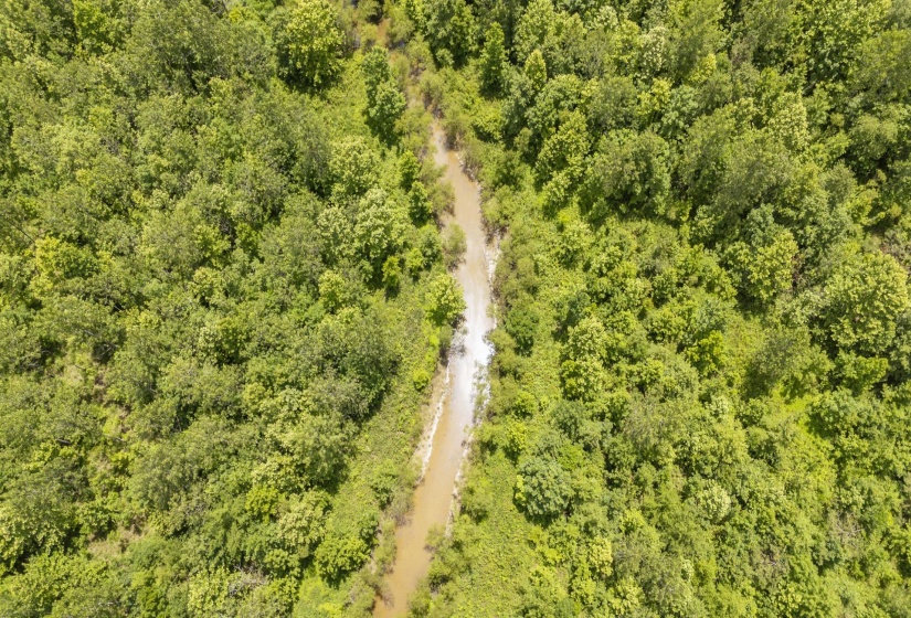 904 CAPOOTH RD, Ramer, Tennessee 38367, ,Land,For Sale,CAPOOTH,10222861