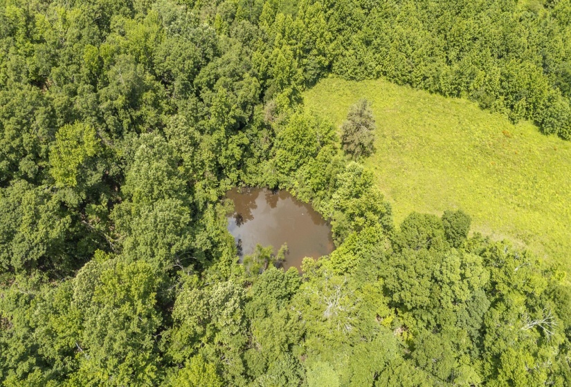 904 CAPOOTH RD, Ramer, Tennessee 38367, ,Land,For Sale,CAPOOTH,10222861