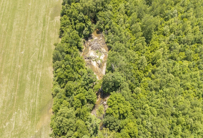 904 CAPOOTH RD, Ramer, Tennessee 38367, ,Land,For Sale,CAPOOTH,10222861