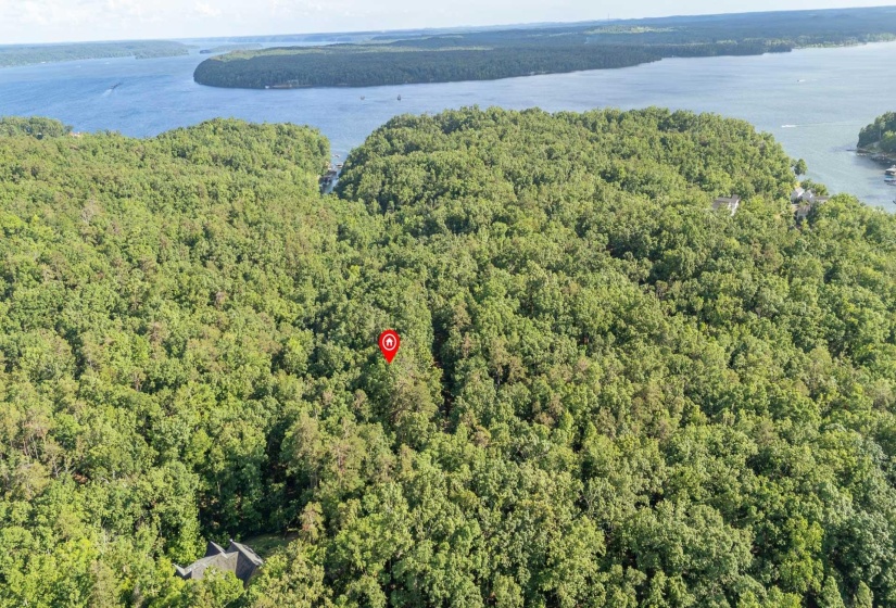LOT 159 ANDERSON HOLLOW RD, Savannah, Tennessee 38372, ,Land,For Sale,ANDERSON HOLLOW,10222870