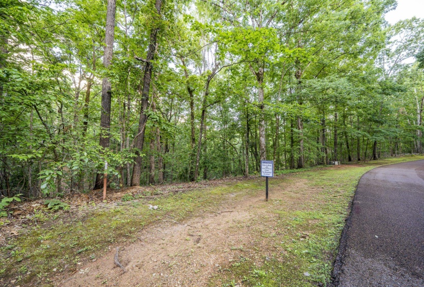 LOT 159 ANDERSON HOLLOW RD, Savannah, Tennessee 38372, ,Land,For Sale,ANDERSON HOLLOW,10222870