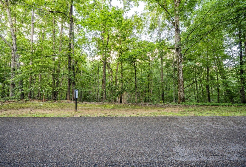 LOT 159 ANDERSON HOLLOW RD, Savannah, Tennessee 38372, ,Land,For Sale,ANDERSON HOLLOW,10222870