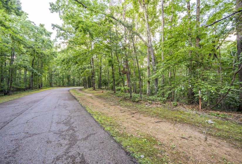 LOT 159 ANDERSON HOLLOW RD, Savannah, Tennessee 38372, ,Land,For Sale,ANDERSON HOLLOW,10222870